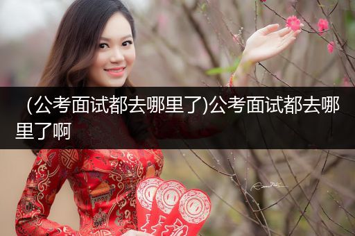（公考面试都去哪里了)公考面试都去哪里了啊