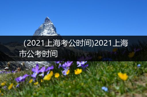 （2021上海考公时间)2021上海市公考时间