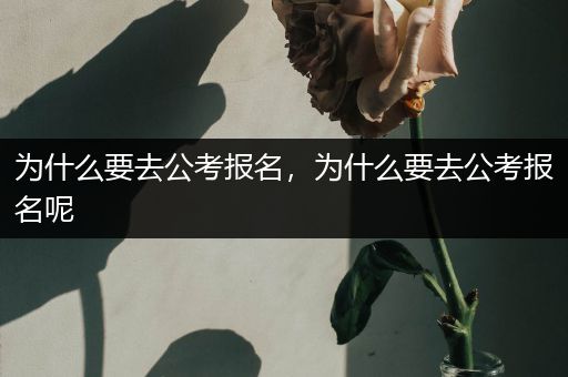 为什么要去公考报名，为什么要去公考报名呢