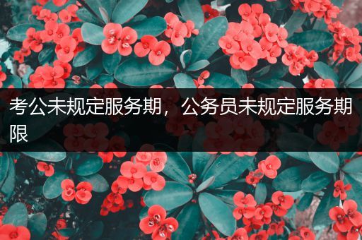 考公未规定服务期，公务员未规定服务期限