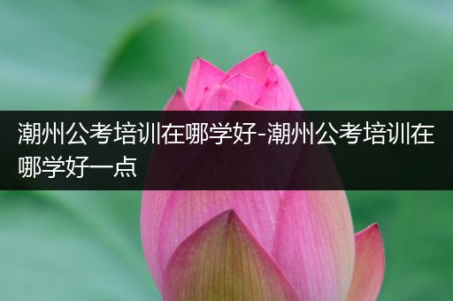 潮州公考培训在哪学好-潮州公考培训在哪学好一点