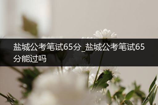 盐城公考笔试65分_盐城公考笔试65分能过吗
