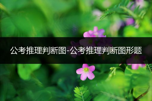 公考推理判断图-公考推理判断图形题