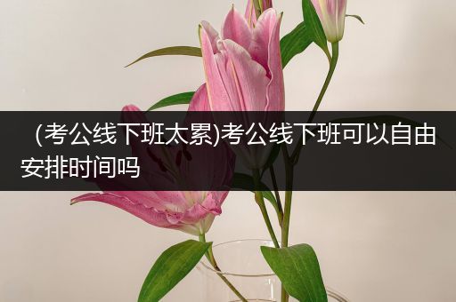 （考公线下班太累)考公线下班可以自由安排时间吗