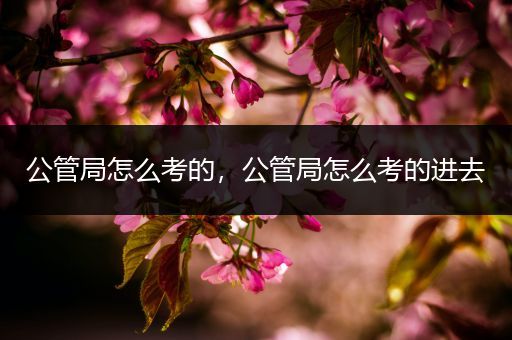 公管局怎么考的，公管局怎么考的进去