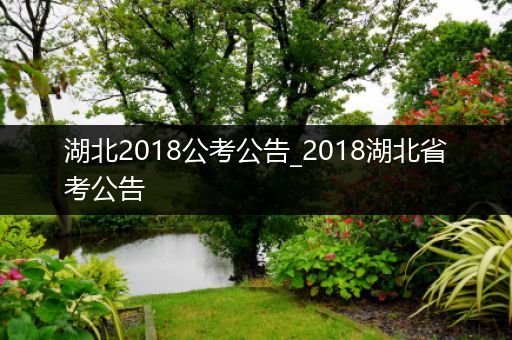 湖北2018公考公告_2018湖北省考公告