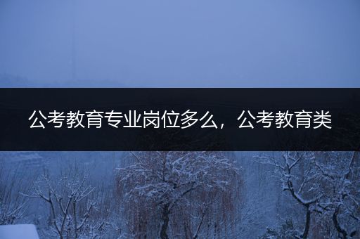 公考教育专业岗位多么，公考教育类