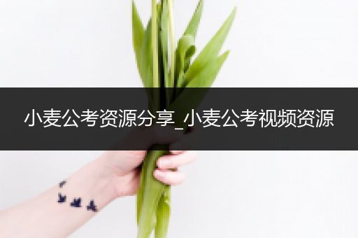 小麦公考资源分享_小麦公考视频资源