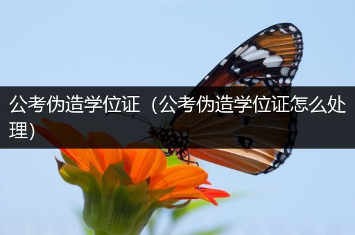 公考伪造学位证（公考伪造学位证怎么处理）