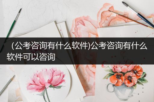 （公考咨询有什么软件)公考咨询有什么软件可以咨询
