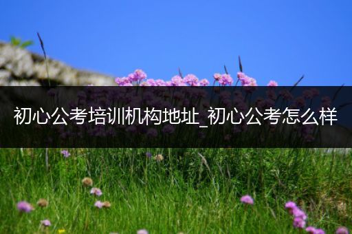 初心公考培训机构地址_初心公考怎么样