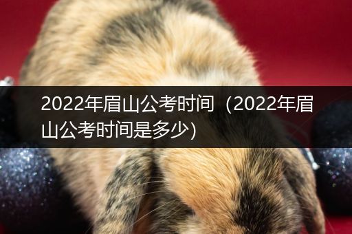 2022年眉山公考时间（2022年眉山公考时间是多少）