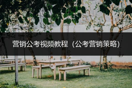营销公考视频教程（公考营销策略）