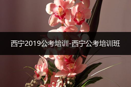 西宁2019公考培训-西宁公考培训班