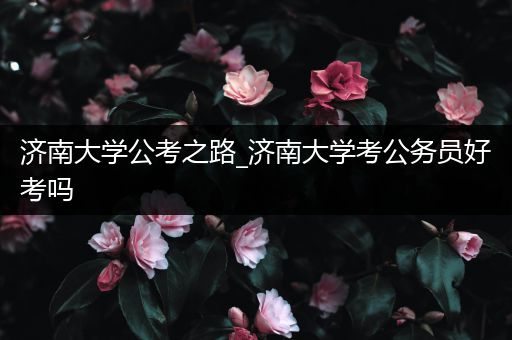 济南大学公考之路_济南大学考公务员好考吗