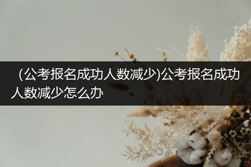 （公考报名成功人数减少)公考报名成功人数减少怎么办