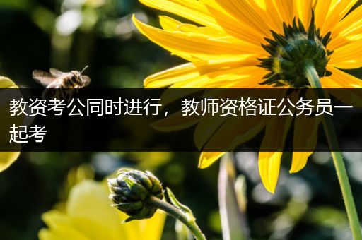 教资考公同时进行，教师资格证公务员一起考