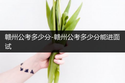 赣州公考多少分-赣州公考多少分能进面试