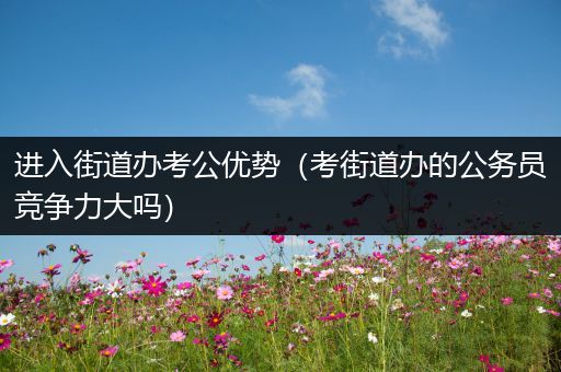 进入街道办考公优势（考街道办的公务员竞争力大吗）