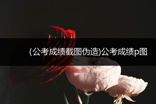 （公考成绩截图伪造)公考成绩p图