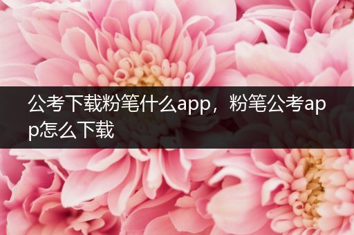 公考下载粉笔什么app，粉笔公考app怎么下载