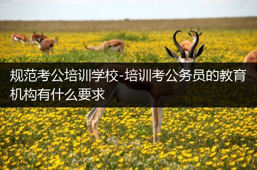 规范考公培训学校-培训考公务员的教育机构有什么要求