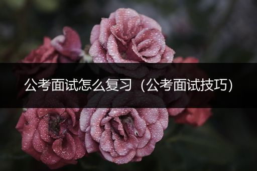 公考面试怎么复习（公考面试技巧）