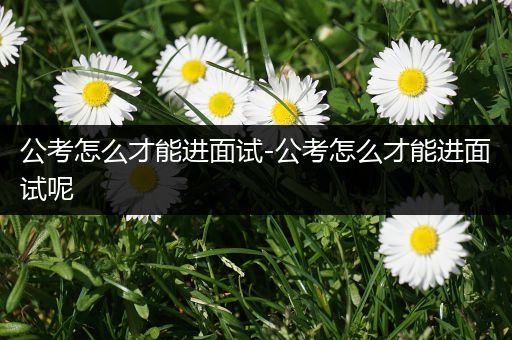 公考怎么才能进面试-公考怎么才能进面试呢
