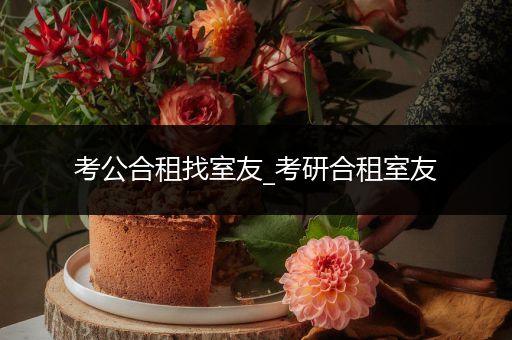 考公合租找室友_考研合租室友
