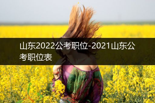 山东2022公考职位-2021山东公考职位表
