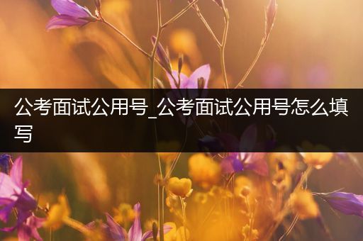 公考面试公用号_公考面试公用号怎么填写