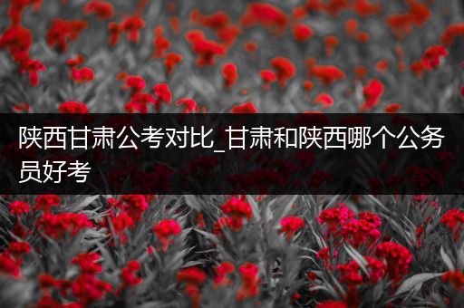 陕西甘肃公考对比_甘肃和陕西哪个公务员好考