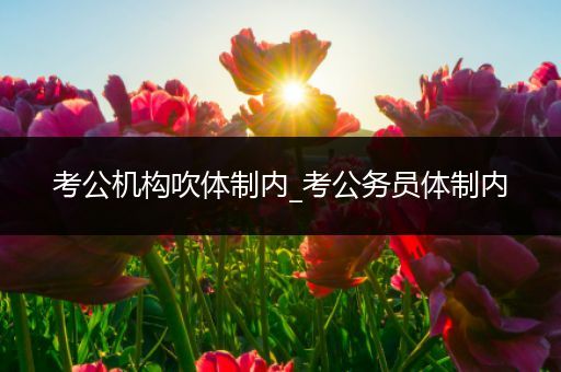 考公机构吹体制内_考公务员体制内