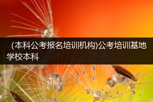 （本科公考报名培训机构)公考培训基地学校本科