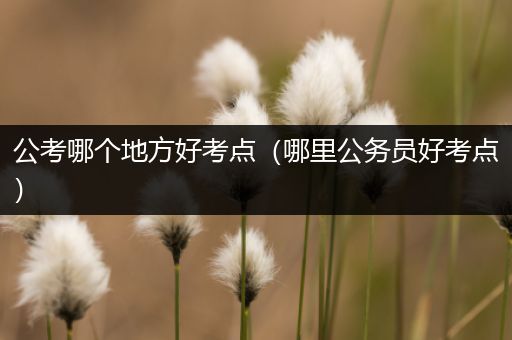 公考哪个地方好考点（哪里公务员好考点）