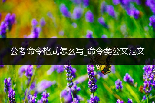 公考命令格式怎么写_命令类公文范文