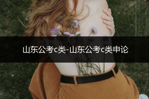 山东公考c类-山东公考c类申论