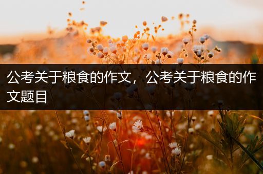 公考关于粮食的作文，公考关于粮食的作文题目