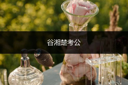谷湘楚考公