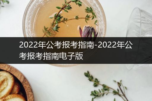 2022年公考报考指南-2022年公考报考指南电子版