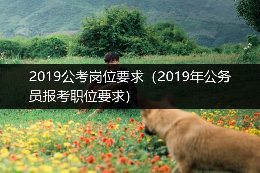 2019公考岗位要求（2019年公务员报考职位要求）