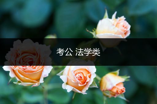 考公 法学类