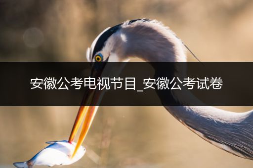 安徽公考电视节目_安徽公考试卷