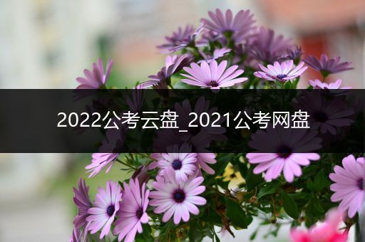 2022公考云盘_2021公考网盘