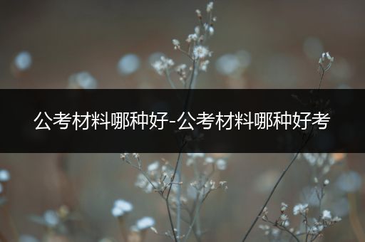 公考材料哪种好-公考材料哪种好考