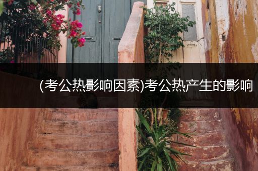 （考公热影响因素)考公热产生的影响