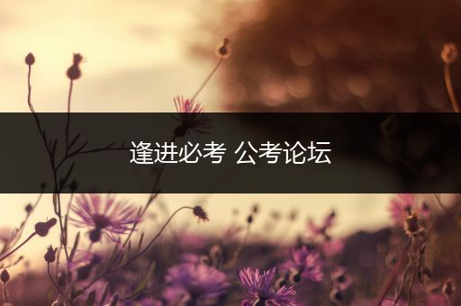 逢进必考 公考论坛
