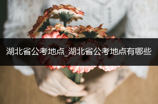 湖北省公考地点_湖北省公考地点有哪些