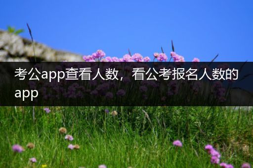 考公app查看人数，看公考报名人数的app