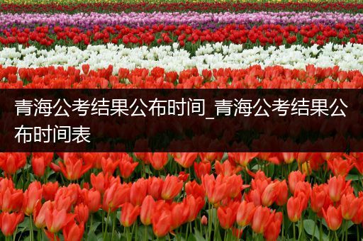 青海公考结果公布时间_青海公考结果公布时间表